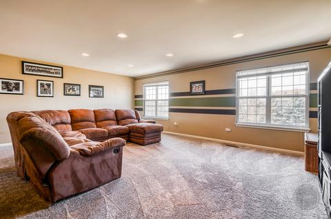 2950 Shamrock Cir, Elgin, IL 60124 photo 29