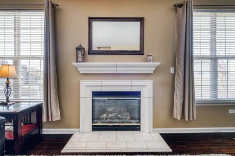 2950 Shamrock Cir, Elgin, IL 60124 photo 22