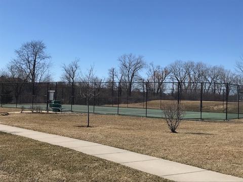 2950 Shamrock Cir, Elgin, IL 60124 photo 80