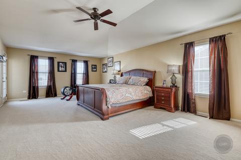 2950 Shamrock Cir, Elgin, IL 60124 photo 42