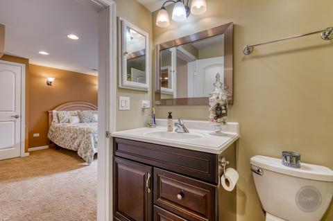 2950 Shamrock Cir, Elgin, IL 60124 photo 56
