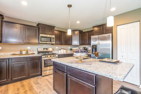 164 Hibiscus Ln, Elgin, IL 60124 photo 3