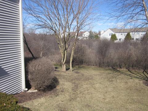 16 Pine Grove Ct, Algonquin, IL 60102 photo 4