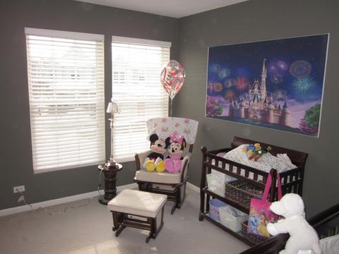 16 Pine Grove Ct, Algonquin, IL 60102 photo 16
