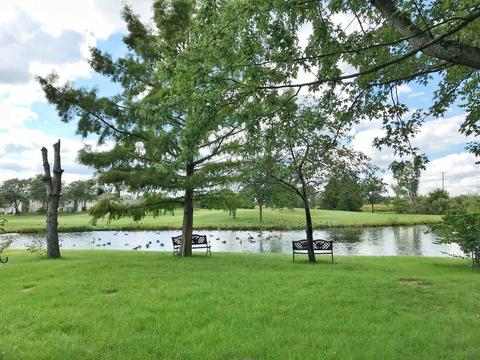 20949 W Ardmore Cir, Plainfield, IL 60544 photo 31