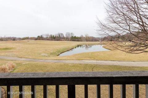 1037 Interloch Ct, Algonquin, IL 60102 photo 15