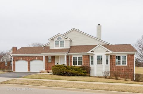 1037 Interloch Ct, Algonquin, IL 60102 photo 1