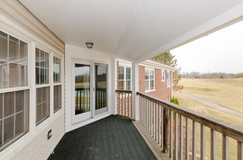 1037 Interloch Ct, Algonquin, IL 60102 photo 16