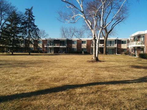 127 N Wolf Rd #49B, Wheeling, IL 60090 photo 8