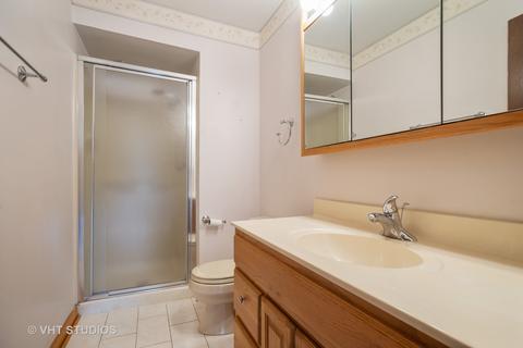 424 Tracy Ter, Des Plaines, IL 60016 photo 13