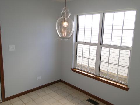 21052 W Hazelnut Ln, Plainfield, IL 60544 photo 9