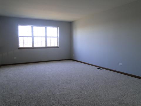 21052 W Hazelnut Ln, Plainfield, IL 60544 photo 13