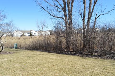 2 Pine Grove Ct, Algonquin, IL 60102 photo 28