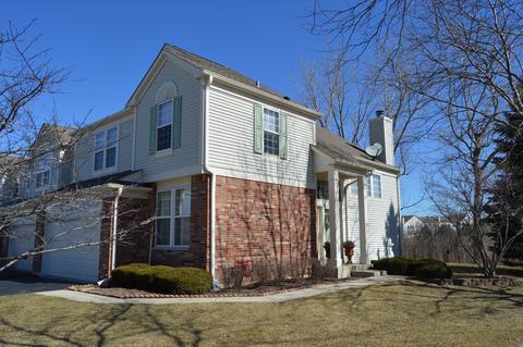 2 Pine Grove Ct, Algonquin, IL 60102 photo 29