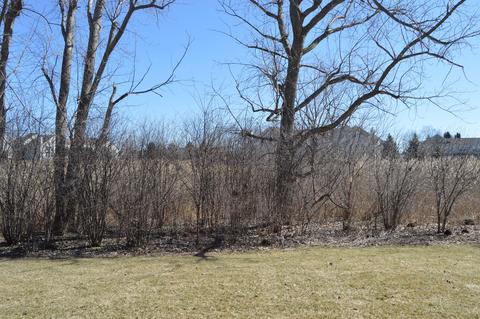 2 Pine Grove Ct, Algonquin, IL 60102 photo 27