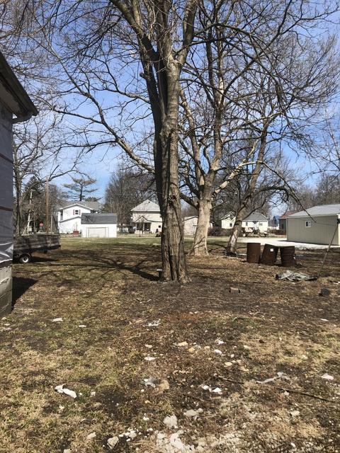 437 E Jefferson St, Arcola, IL 61910 photo 2