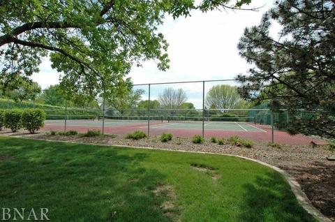 5 Milton Ln, Bloomington, IL 61704 photo 31