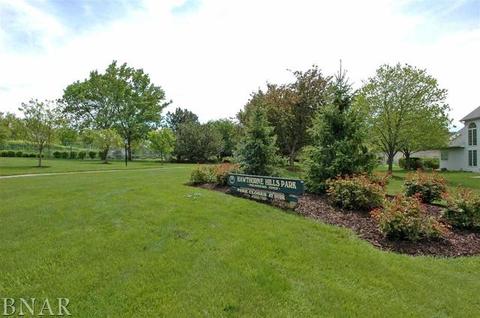 5 Milton Ln, Bloomington, IL 61704 photo 30