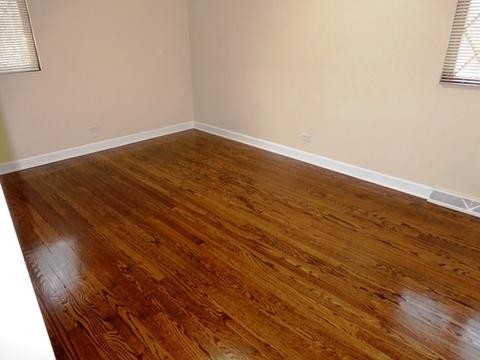 408 Brookwood Dr, Olympia Fields, IL 60461 photo 21