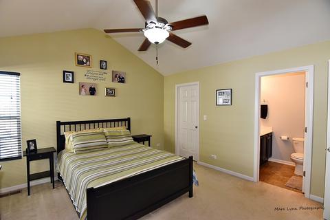 3605 Daisy Ln, Elgin, IL 60124 photo 13