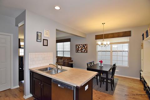 3605 Daisy Ln, Elgin, IL 60124 photo 9
