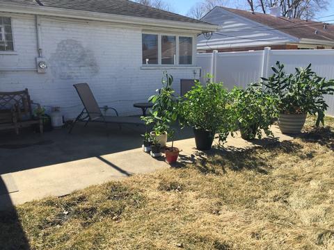 888 E Algonquin Rd, Des Plaines, IL 60016 photo 15