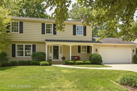 721 E Carpenter Dr, Palatine, IL 60074 photo 1