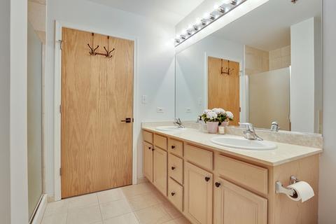 41 E 8th St #3302, Chicago, IL 60605 photo 21