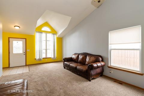 26245 S Cherry Ln, Monee, IL 60449 photo 2