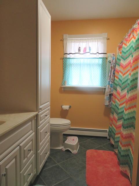 602 E Locust St, Tolono, IL 61880 photo 20