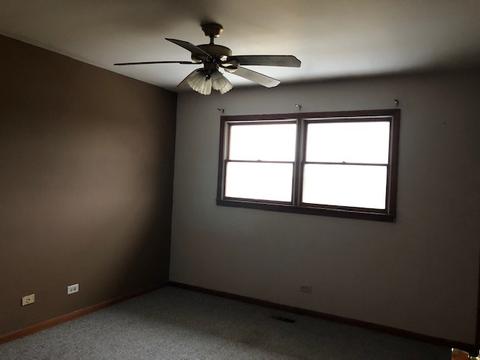 27413 S Kuersten Rd, Monee, IL 60449 photo 12