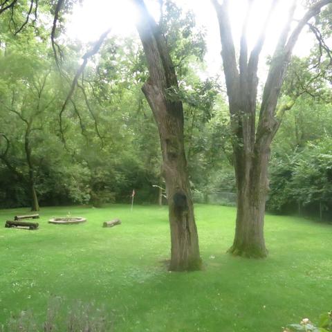 925 Harper Dr, Algonquin, IL 60102 photo 3