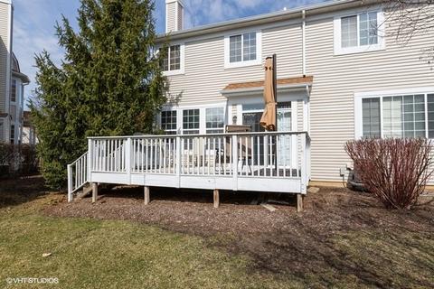 220 Katrina Ln, Algonquin, IL 60102 photo 22