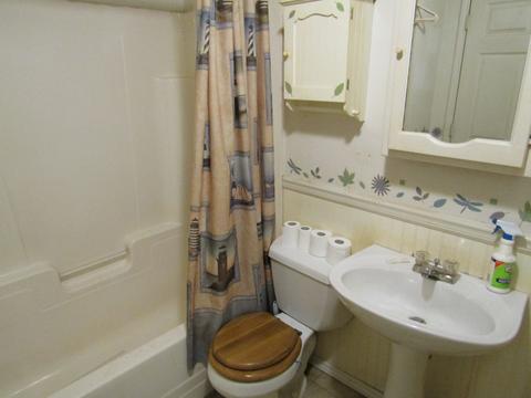 715 E Jackson St, Morris, IL 60450 photo 11