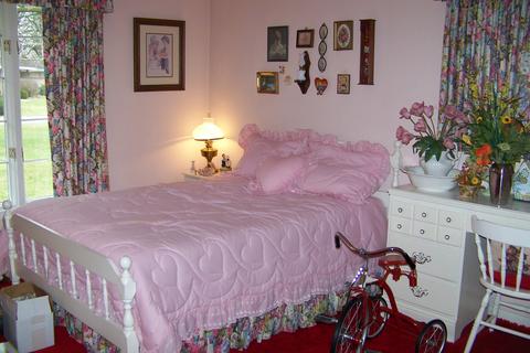 112 E Lacon Dr, Forrest, IL 61741 photo 16
