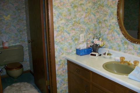 112 E Lacon Dr, Forrest, IL 61741 photo 15
