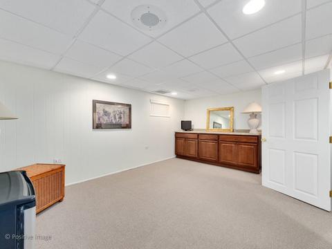 1303 S Williston St, Wheaton, IL 60189 photo 24