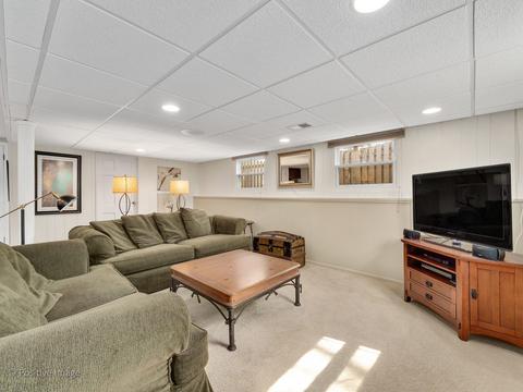 1303 S Williston St, Wheaton, IL 60189 photo 20