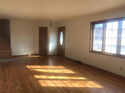 520 N Richards St, Spring Valley, IL 61362 photo 6