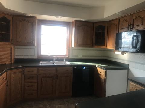 520 N Richards St, Spring Valley, IL 61362 photo 10