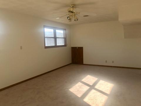 520 N Richards St, Spring Valley, IL 61362 photo 25