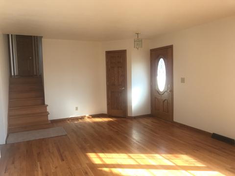 520 N Richards St, Spring Valley, IL 61362 photo 5