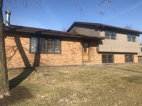 520 N Richards St, Spring Valley, IL 61362 photo 1