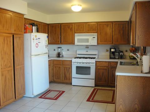 6507 Klinger Ln, Plainfield, IL 60586 photo 8
