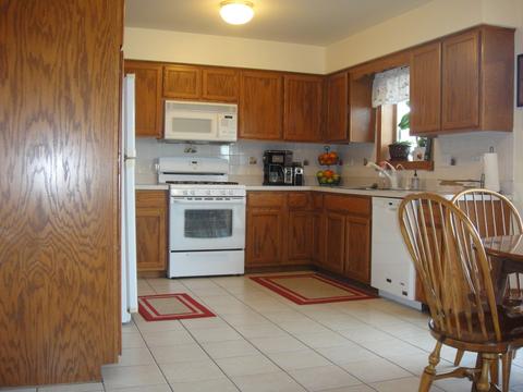 6507 Klinger Ln, Plainfield, IL 60586 photo 6