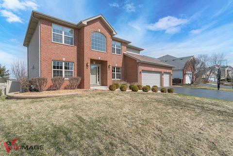 16402 Split Rail Dr, Lockport, IL 60441 photo 26