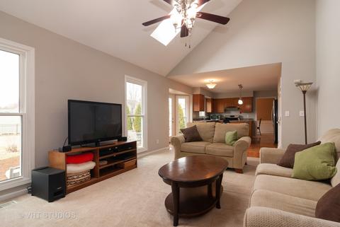 808 Sharp Ct, Elburn, IL 60119 photo 11