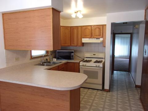 1156 E 91st St, Chicago, IL 60619 photo 9