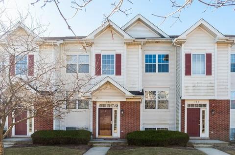 786 River Walk Dr, Wheeling, IL 60090 photo 1