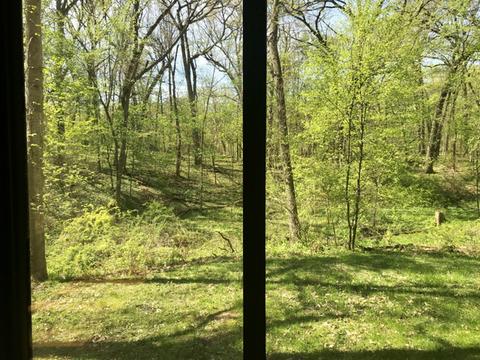 10 Malibu Dr, Putnam, IL 61560 photo 28